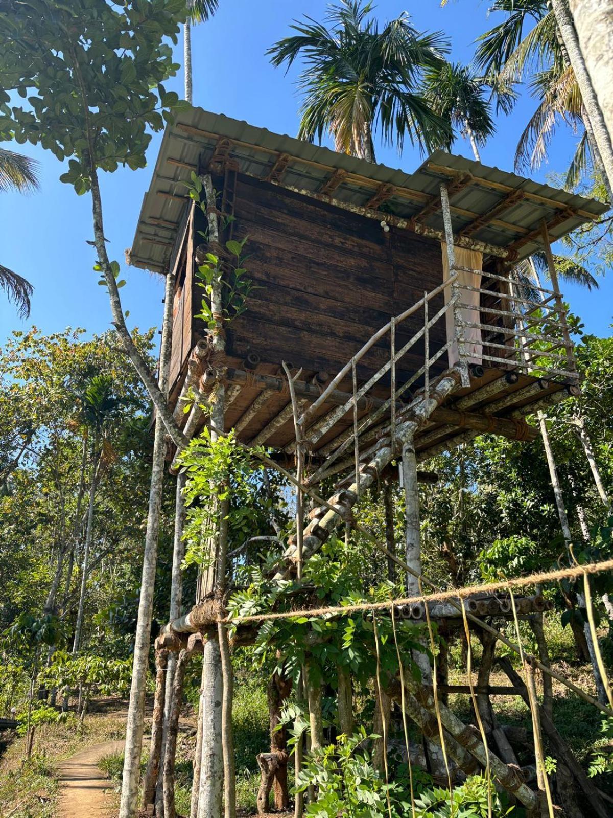 סולטאן באטרי Lotus Jewel Forest Camping מראה חיצוני תמונה