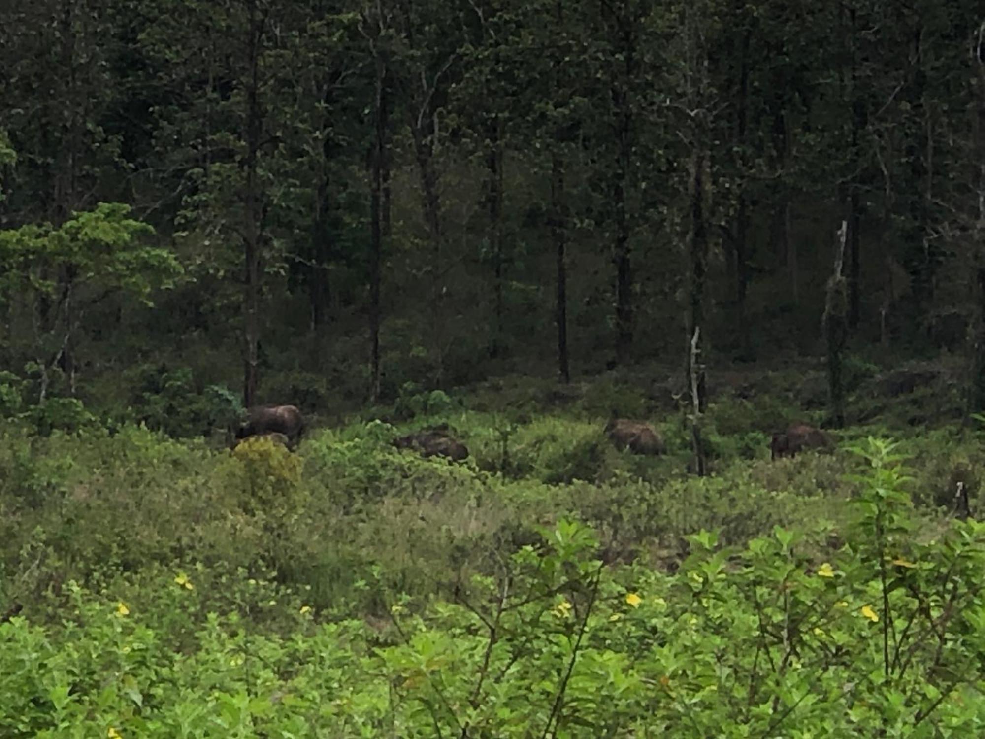 סולטאן באטרי Lotus Jewel Forest Camping מראה חיצוני תמונה